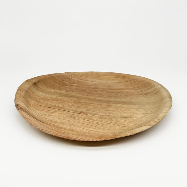 The Beauty of Eco Plates VerTerra Dinnerware