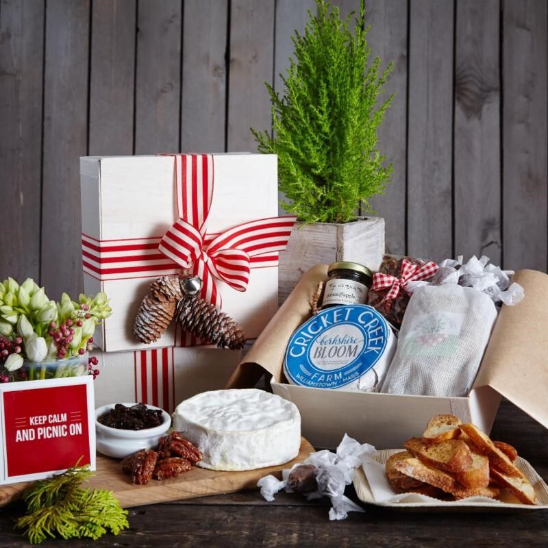 VerTerra's Quick Guide to: The Balsa Wood Line