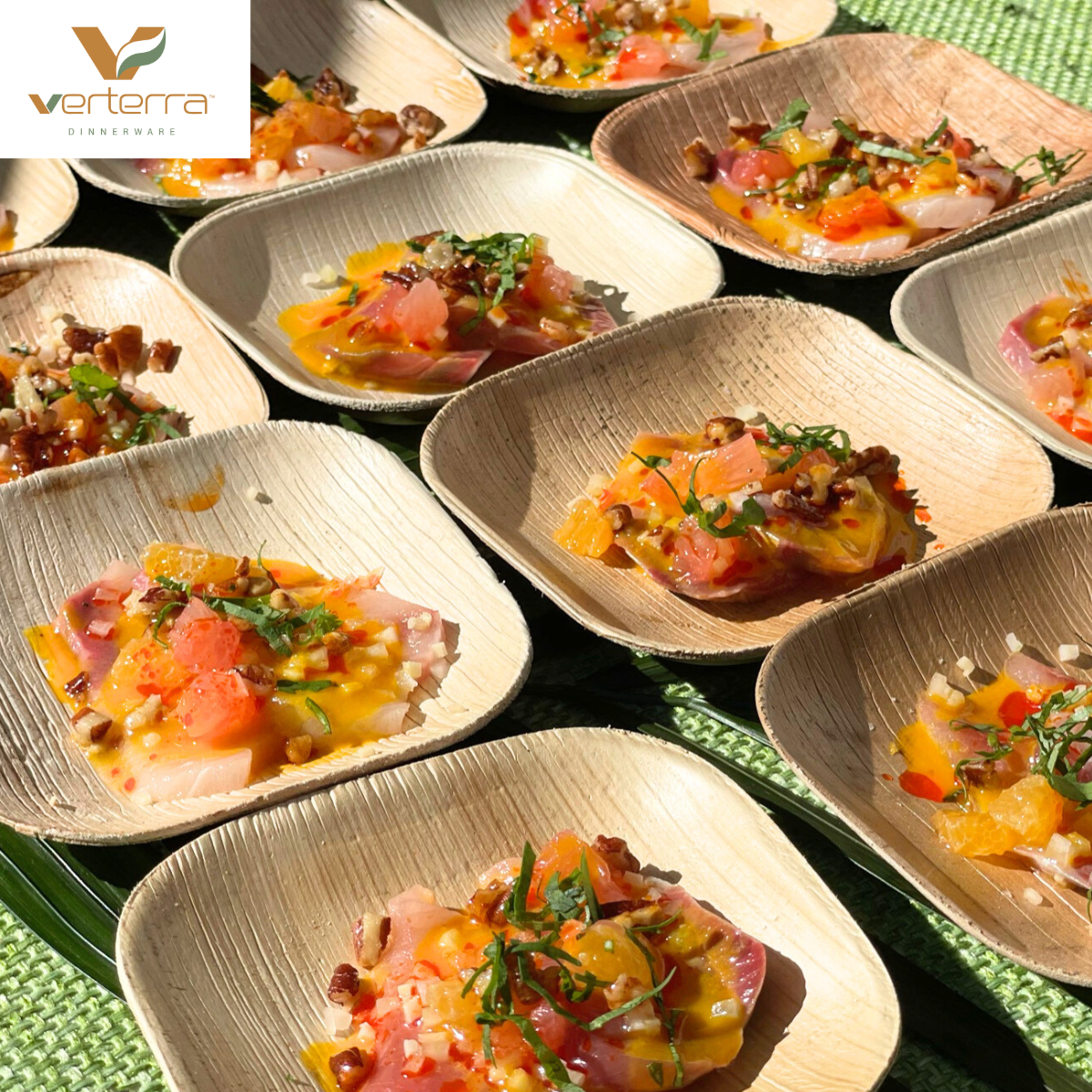 Paper Plates versus Palm Plates: A Fight for Sustainability