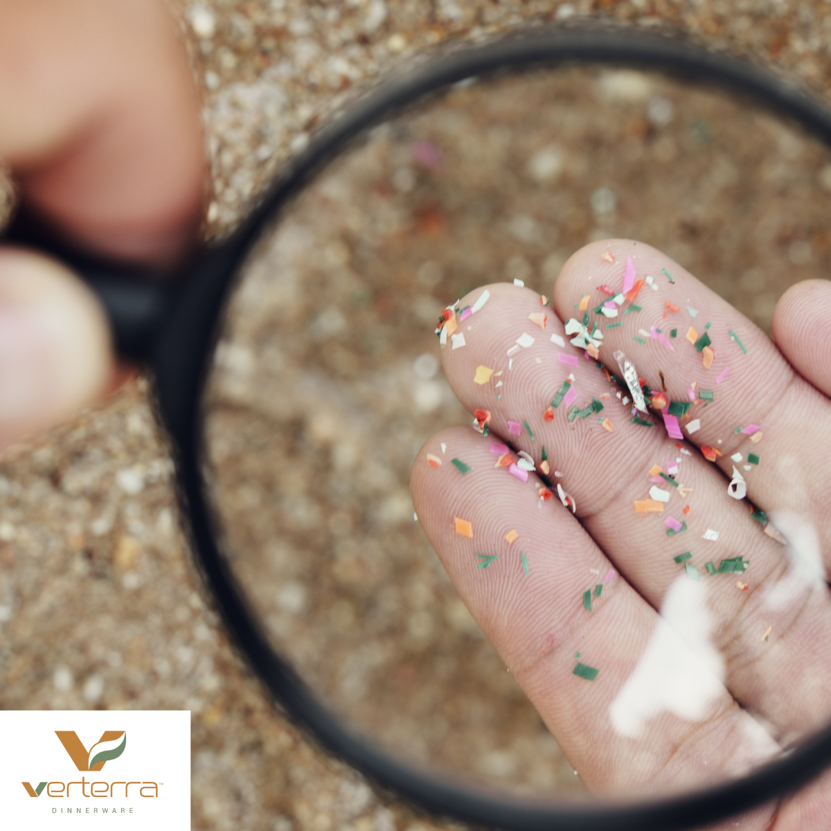 Microplastics: The Invisible Pollutant and How We Can Fight Back