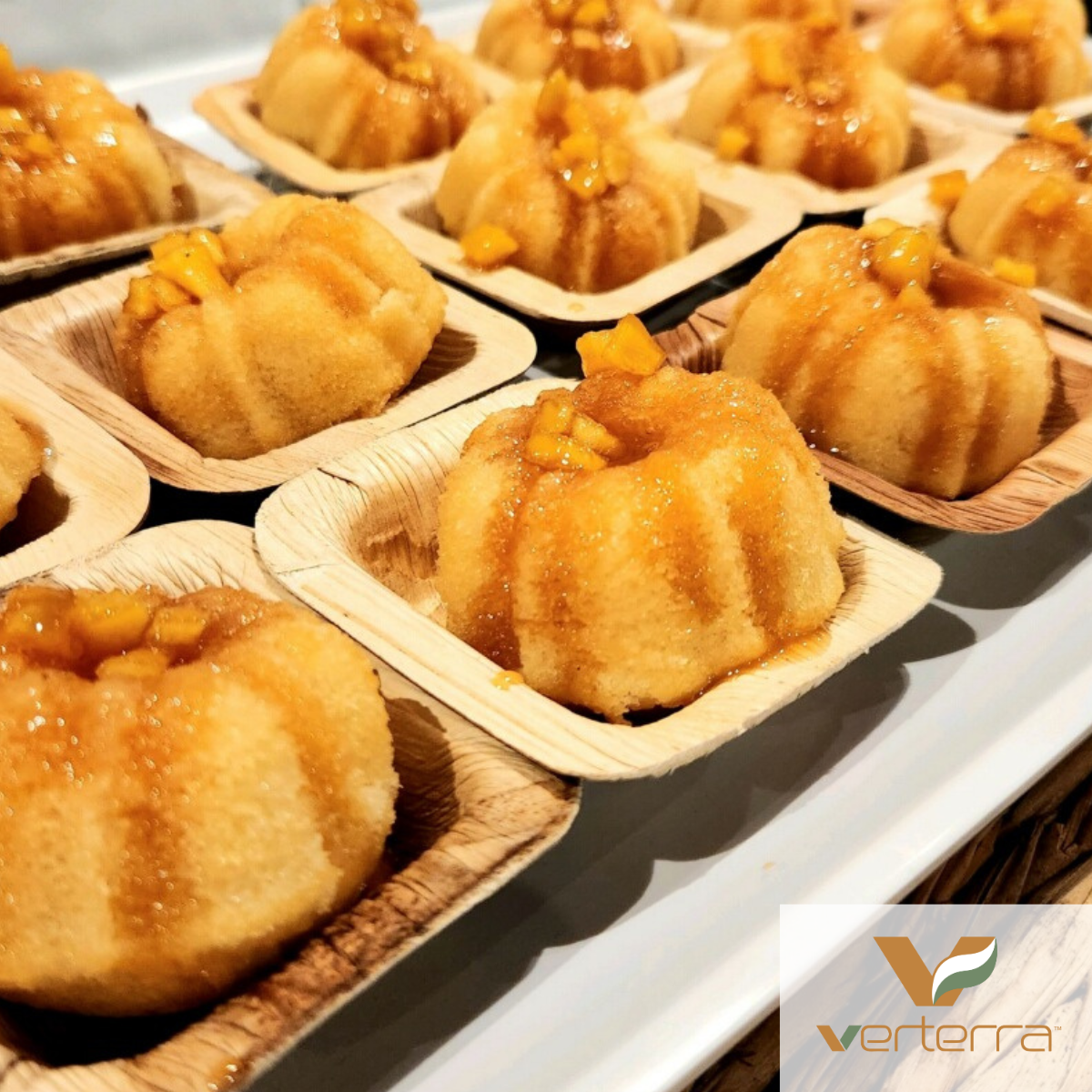 The Sustainable Shift: 3 Reasons Why VerTerra Palm Leaf Plates Outshine Plastic and Paper