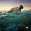 Legislating Against Plastic: What F&B Businesses Should Know