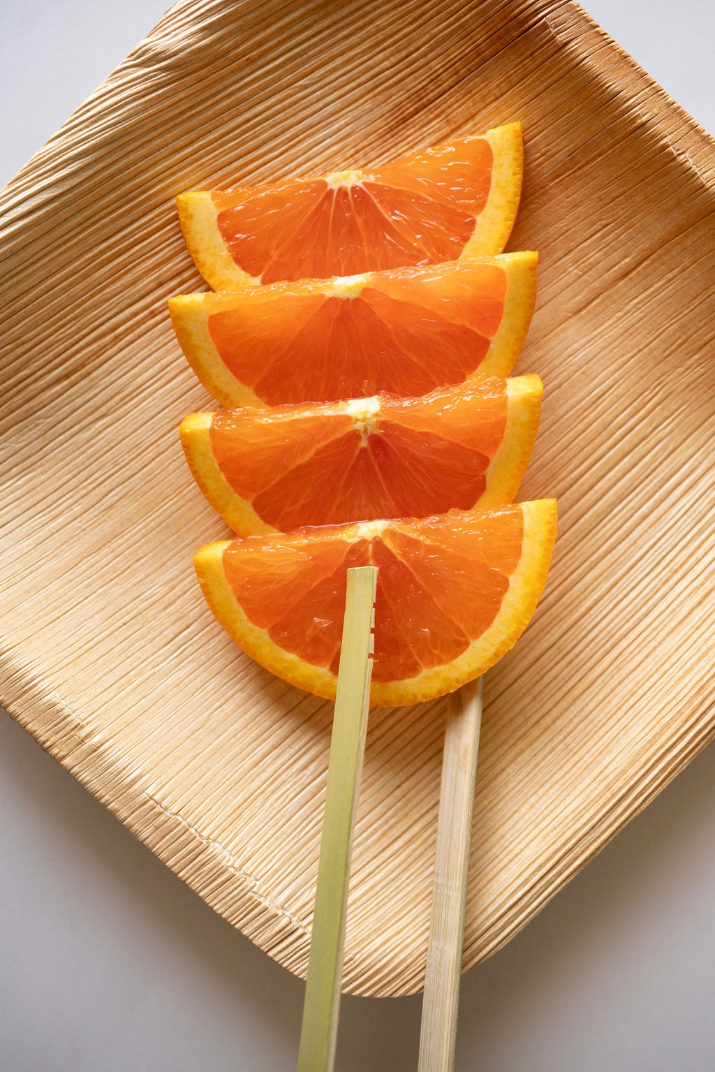 Buy stylish biodegradable serveware - VerTerra Dinnerware