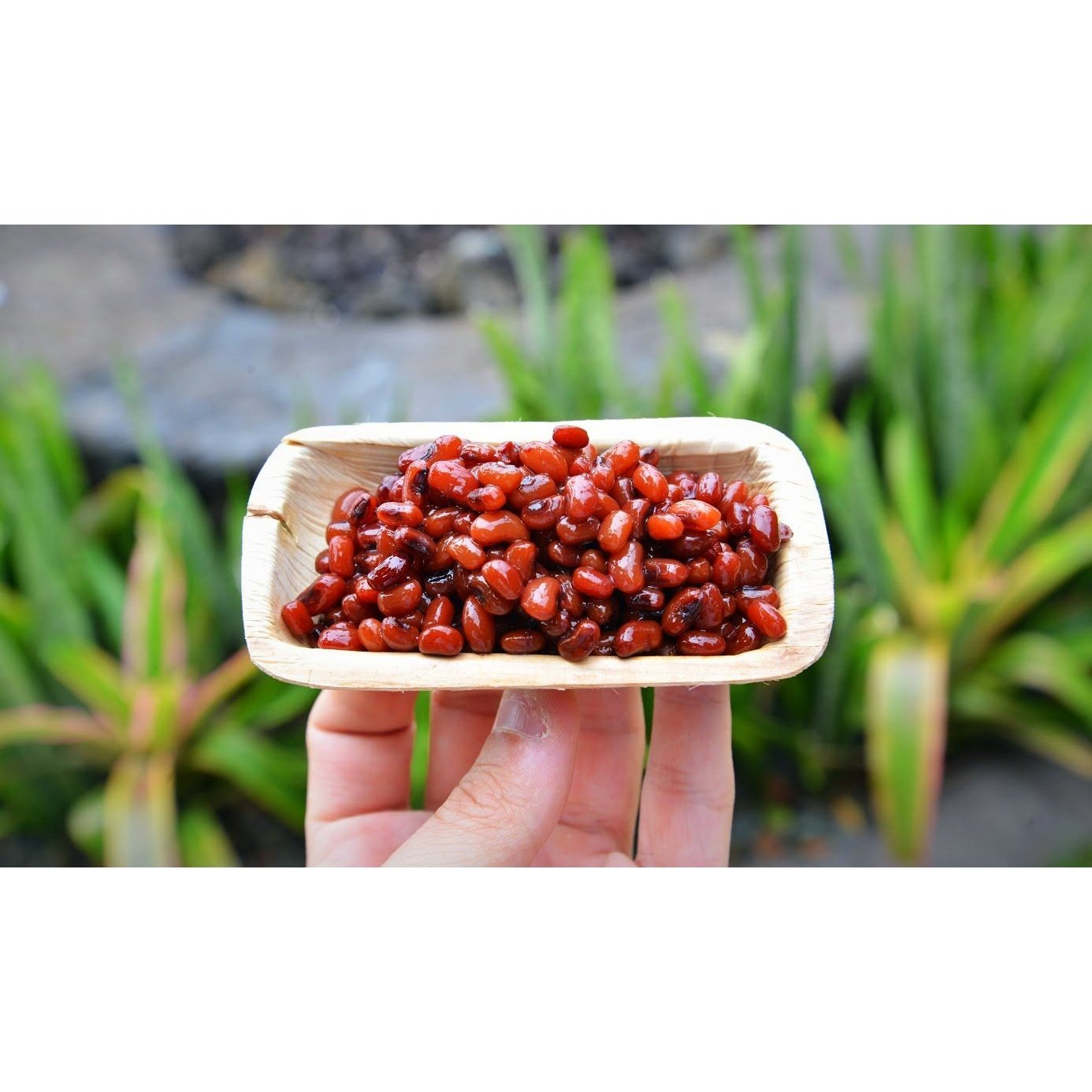 2" x 4" Mini Palm Leaf Tray - (25 Count Retail Pack)-VerTerra Dinnerware