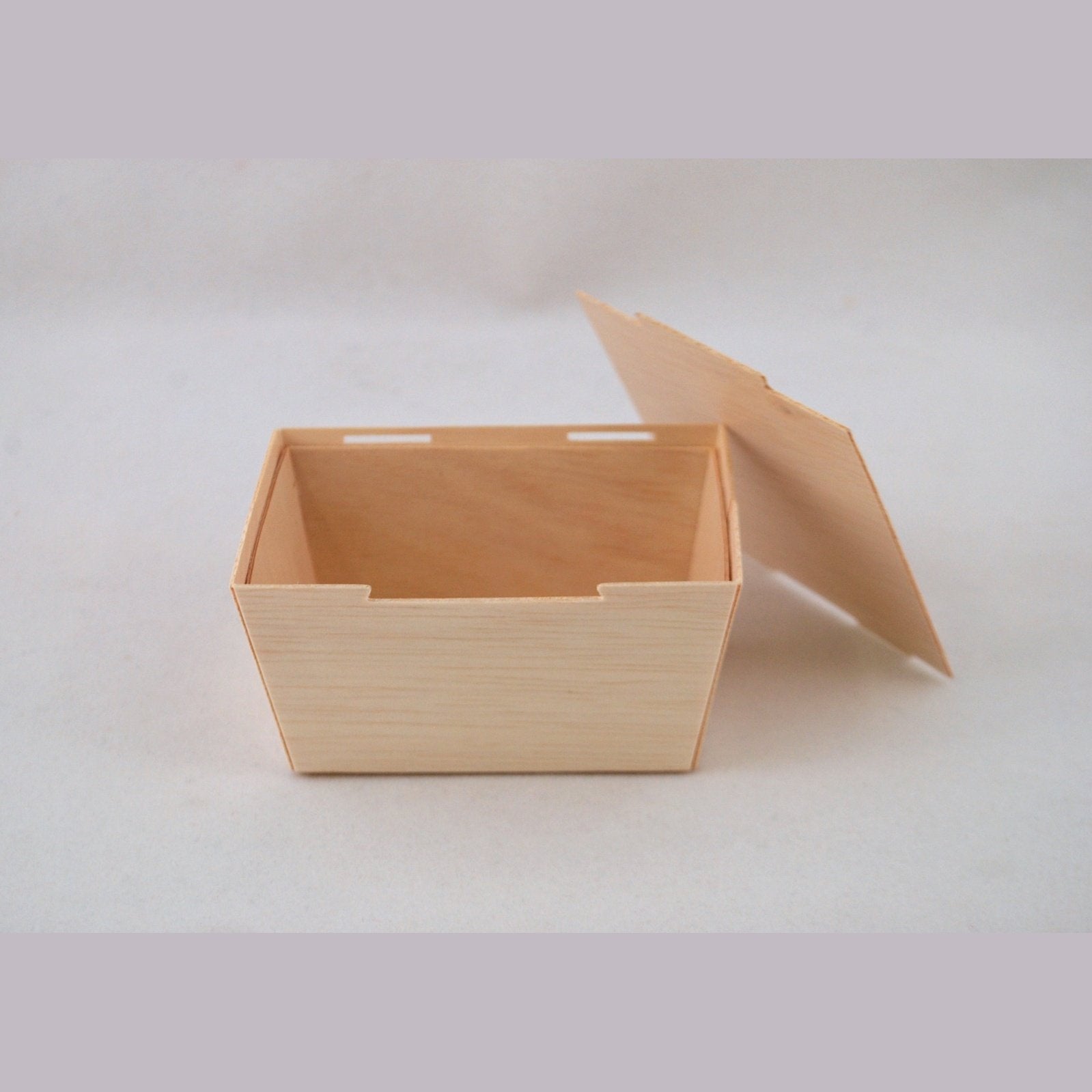 3" x 4" Petite To-Go Box (10 count Retail Pack)-VerTerra Dinnerware