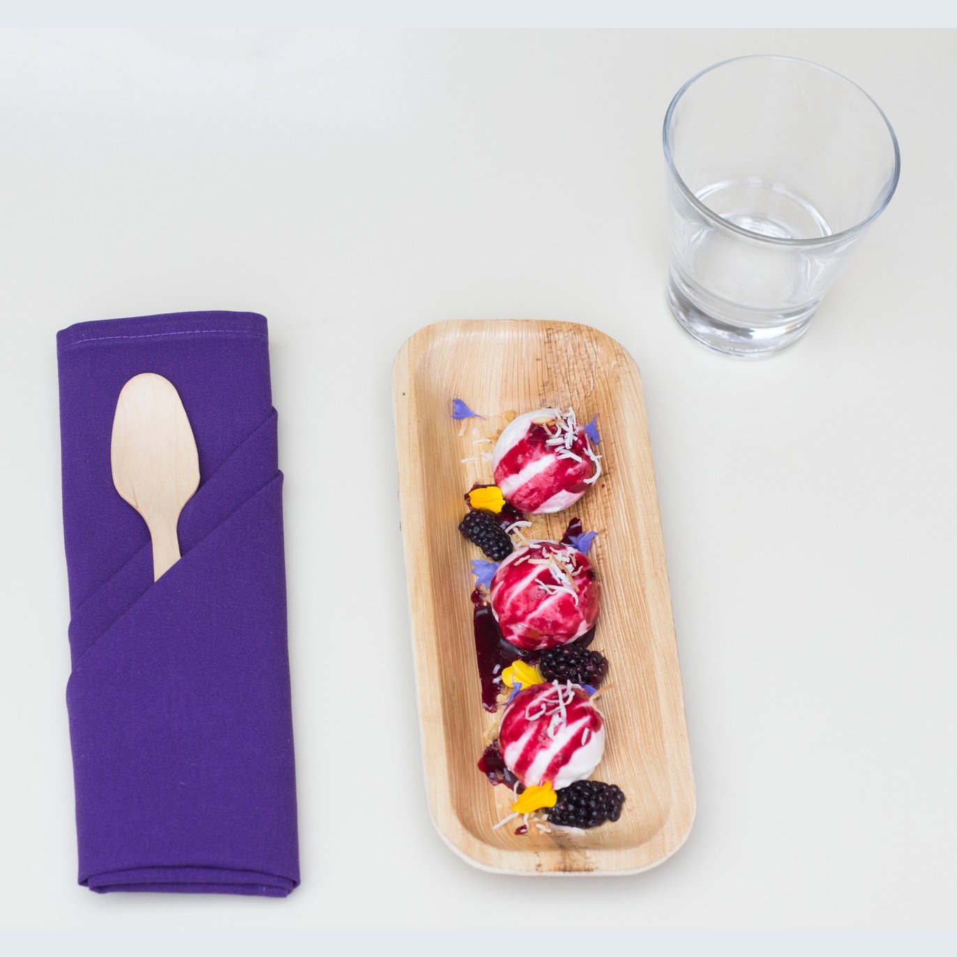 4" x 10" Rectangular Palm Leaf Tray (25 count Retail Pack)-VerTerra Dinnerware