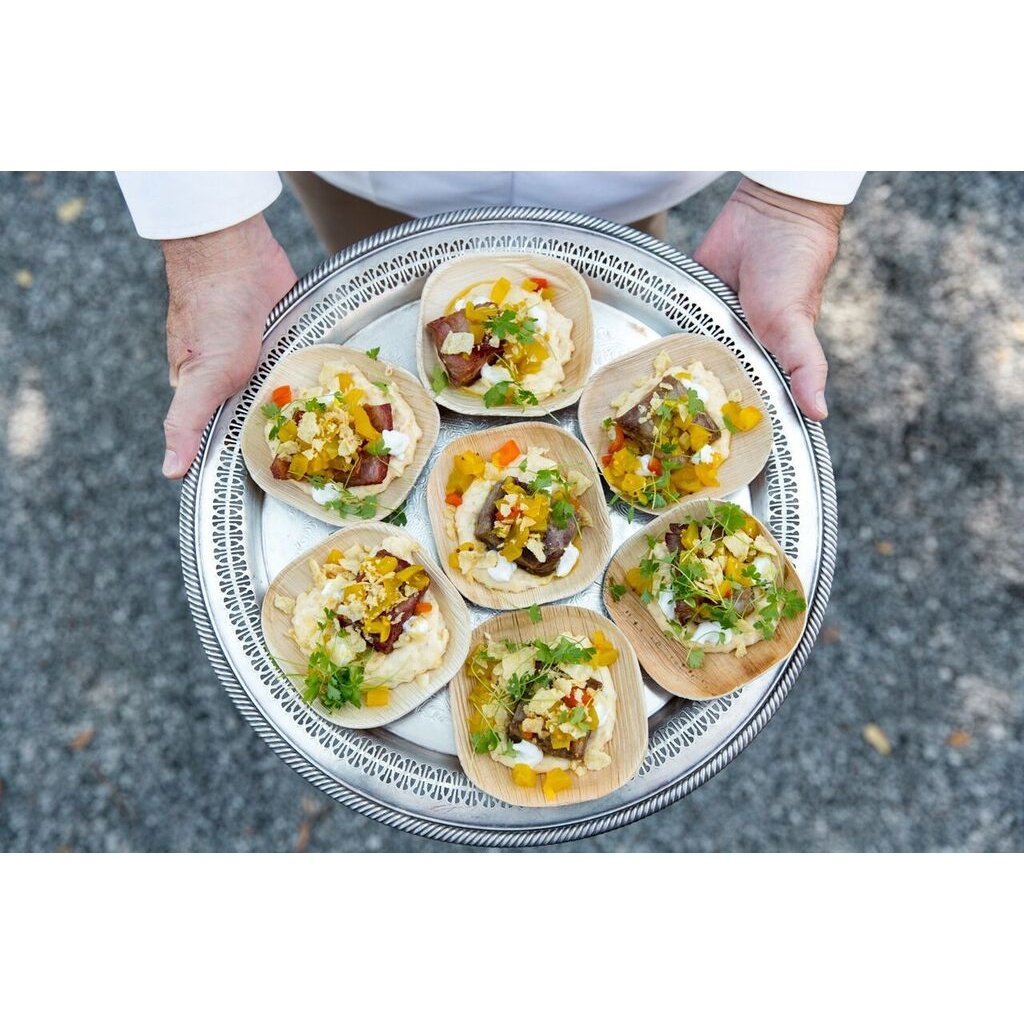 Verterra plates sale