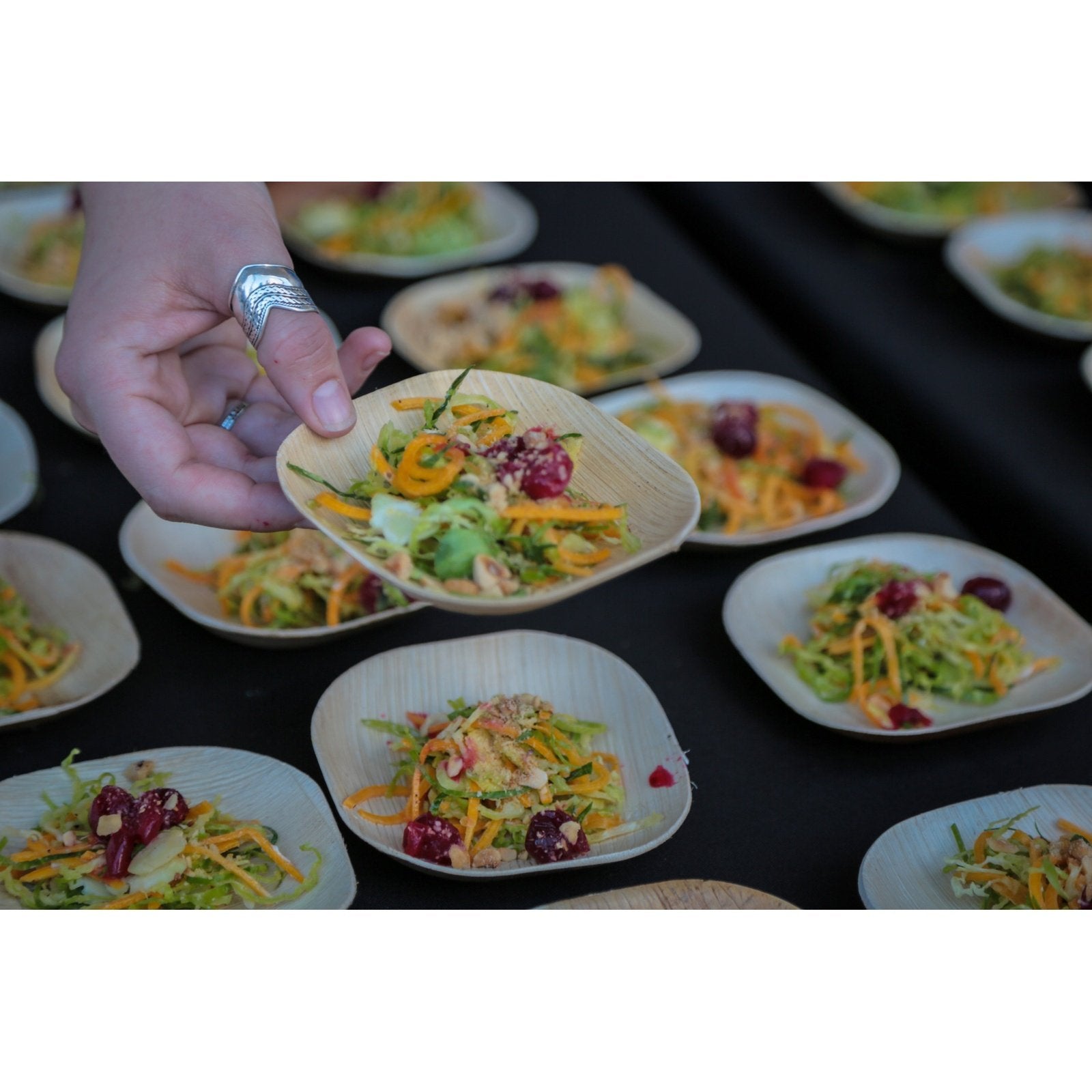 The Best Disposable Plates for Your Big Day VerTerra Dinnerware