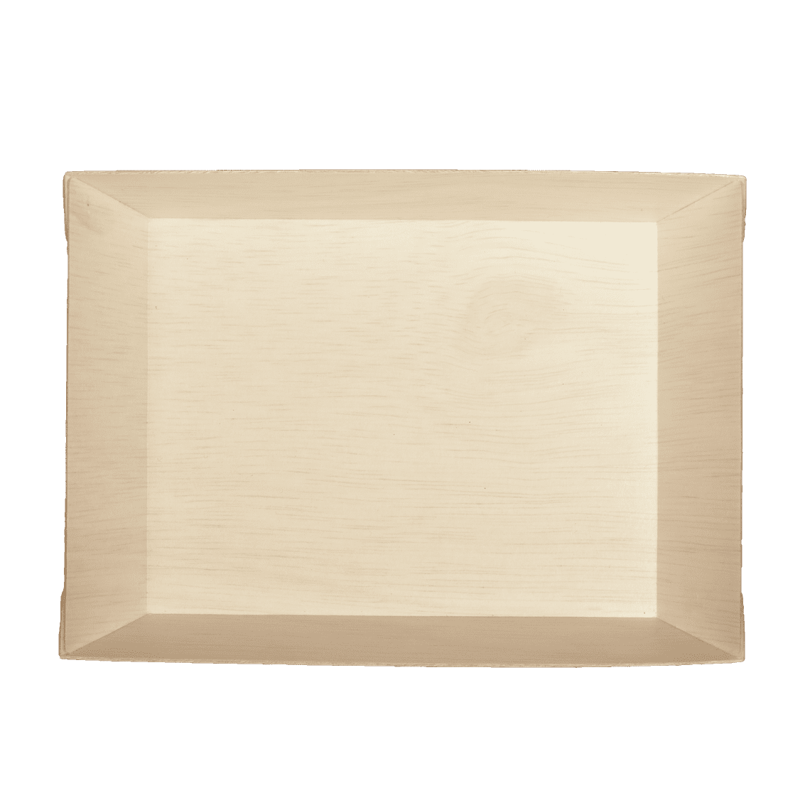 5" x 7" Fixed Sided Medium Rectangle Tray (10 count Wholesale Pack)-VerTerra Dinnerware