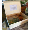 Balsa Wood Catering Tray Or Takeout Box With Collapsible Lid 
