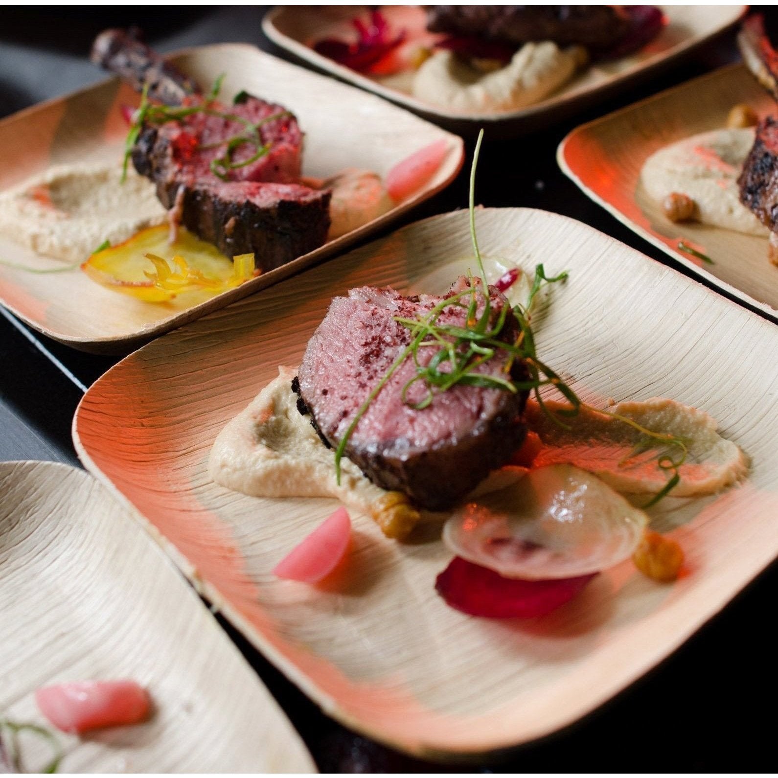 Verterra plates top