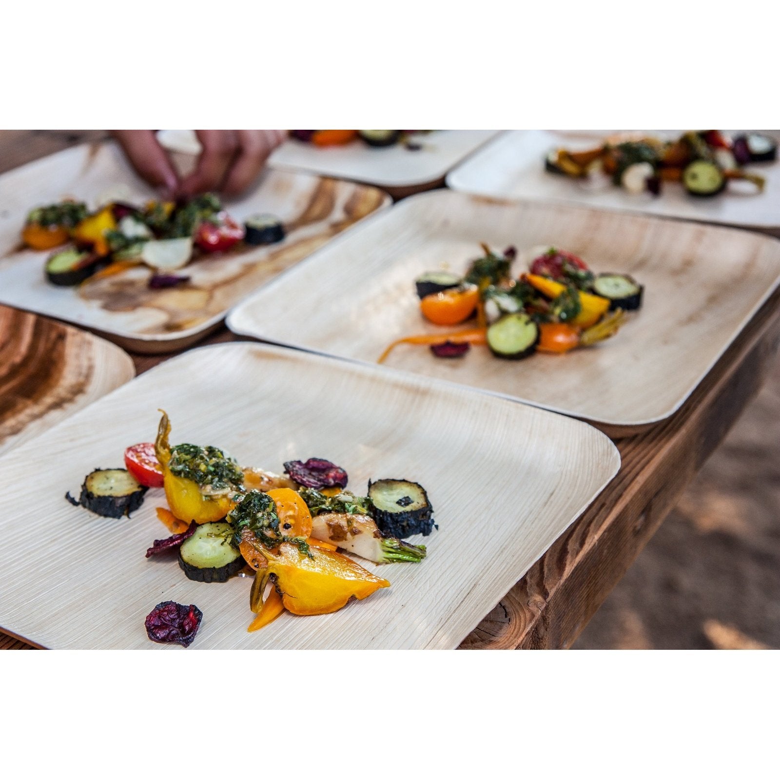 Verterra plates cheap
