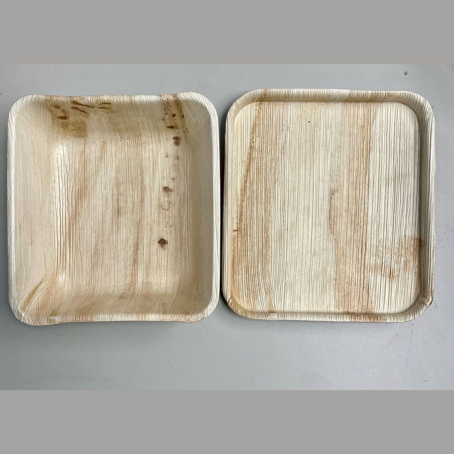 33 oz Palm Bowl + Lid Combo