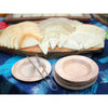 6" x 6" Round Lip Palm Leaf Plate (25 count Retail Pack)-VerTerra Dinnerware