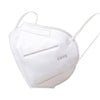 KN95 Masks (full case 1000 masks)