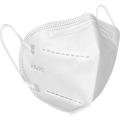KN95 Masks (full case 1000 masks)